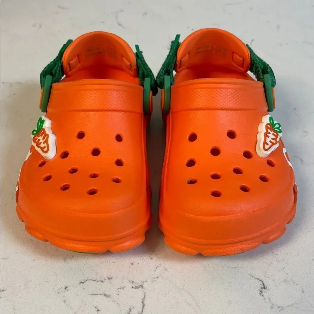 Anwar Carrots x Crocs Classic All-Terrain Clog Toddler Size 9